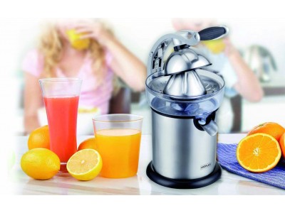 Presse-Agrume Inox 160 W avec Poignée Pressoir et 2 Cônes – PEPA-235