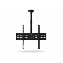 Support TV Plafond Double Écran VESA 800 jusqu’à 63" en Acier Noir – PLB-CE3D